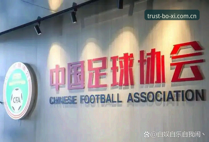 博喜体育最新活动 资深球迷深度解析:足协第三批禁足名单背后的足球生态重构